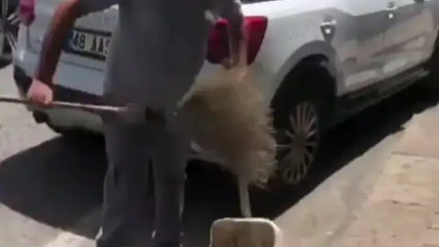 Bodrum'da temizlik böyle yapılır