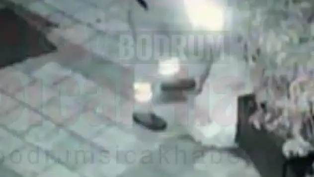 Bodrum'da temizlik personelinin üşüyen köpeğin üstünü örttüğü anlar kamerada