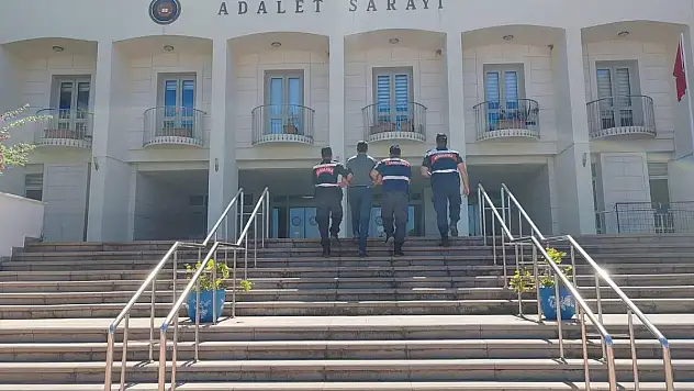 Bodrum'da Terör Örgütü Üyesi Yakalandı