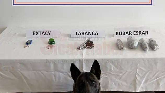 Bodrum'da Uyuşturucu Operasyonunda 3 Şüpheli Yakalandı