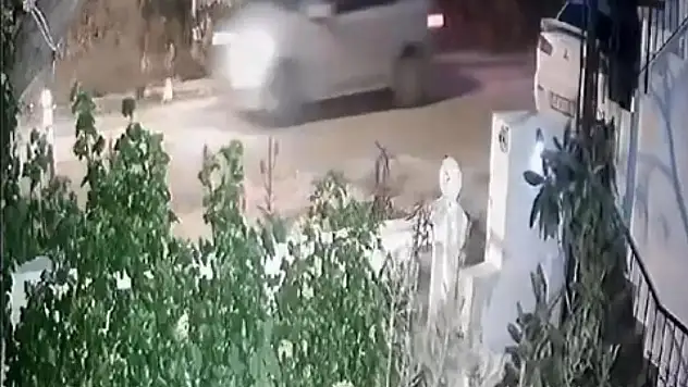 Bodrum'da Üzücü Kaza: Ağaçtan Düşen Kedi Araç Altında Kaldı