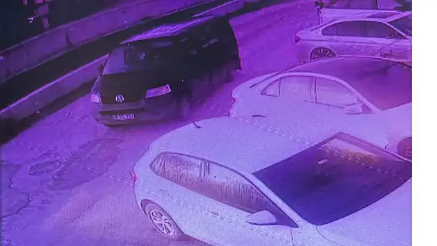 Bodrum'da Vicdansız Sürücü Köpeğe Çarpıp Kaçtı