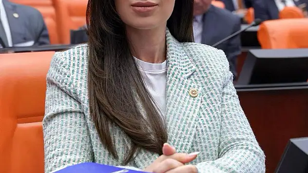 Bodrum'da Yanan Orman Alanlarını Neden RES İçin Kamulaştırdınız?
