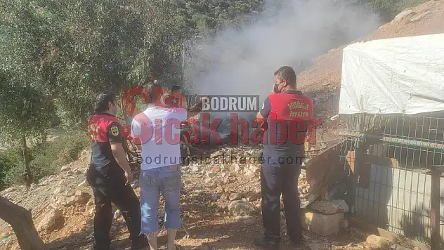 Bodrum'da yangınlar artıyor