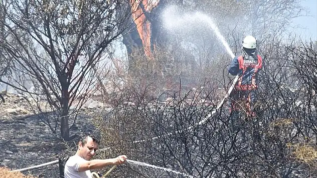 Bodrum'da yerleşim yeri yakınındaki zeytinlik ve makilik alanda çıkan yangın söndürüldü