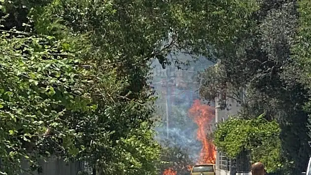 Bodrum'da Yerleşim Yerlerinin Dibinde Çıkan Yangın Korkuttu