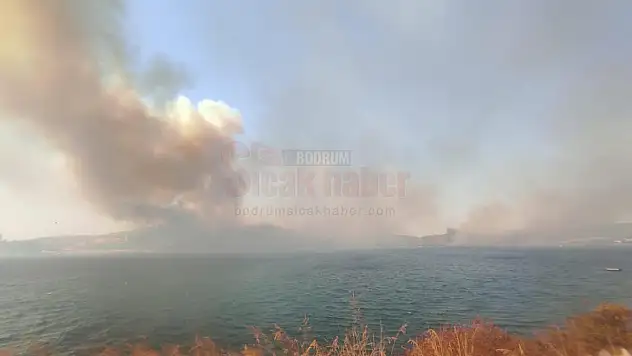 Bodrum'daki orman yangınıyla ilgili soruşturma başlatıldı