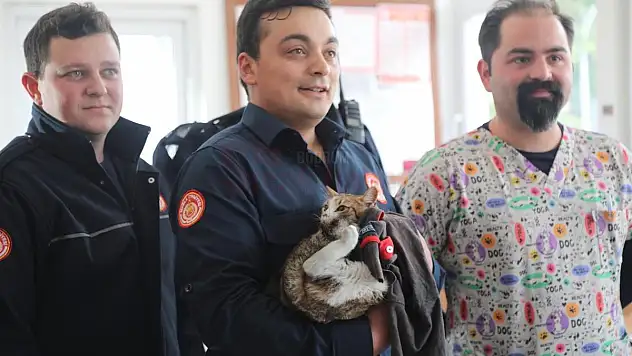 Bodrum'lu İtfaiyeciler Kurtardıkları Kediyi Sahiplendi