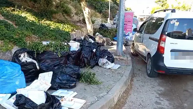 Bodrum'u Çöp Götürüyor