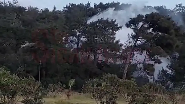 Bodrum'un Bitmez Çilesi