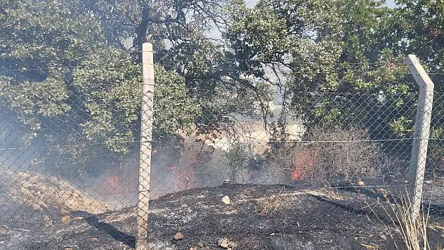 Bodrum'un Farklı Bölgelerinde Yangınlar Çıktı