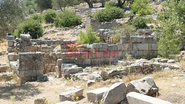 Bodrum'un Vazgeçilmezi Pedesa Antik Kent
