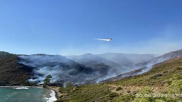 Bördübet Yangınında Üç Kişi Gözaltına Alındı