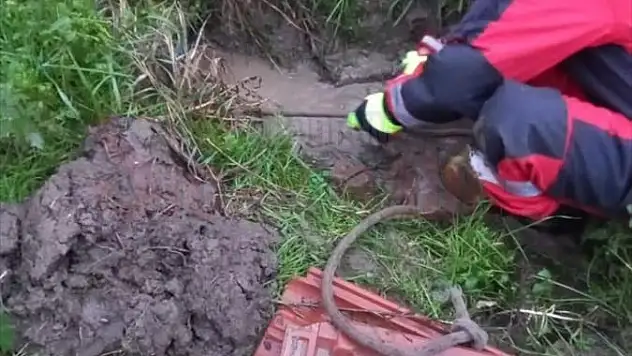 Boruya Sıkışan 3 Köpek Yavrusunu İtfaiye Kurtardı