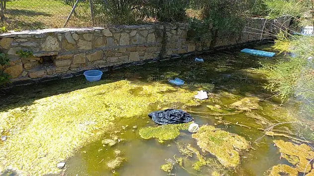 Bu Görüntüler Bodrum'a Yakışmıyor