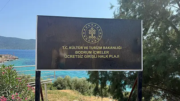 Bu ne lahana, bu ne turşu?