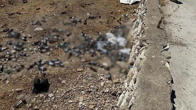 Bu sorumsuzluk kabul edilemez!