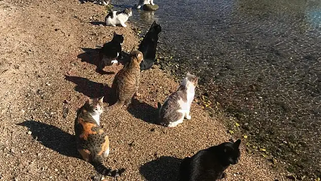 Bu Zamana Kadar Yaptığımız En Anlamlı Haber...