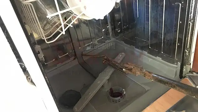 Bulaşık Makinesine Giren Yılan Korkuttu