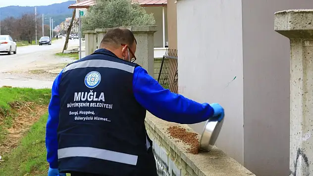 Büyükşehir Can Dostlar İçin Mama Üretiyor