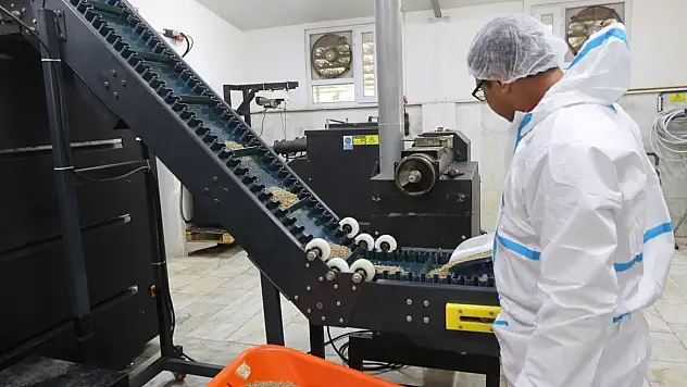 Büyükşehir can dostları unutmuyor 42 ton mama üretildi