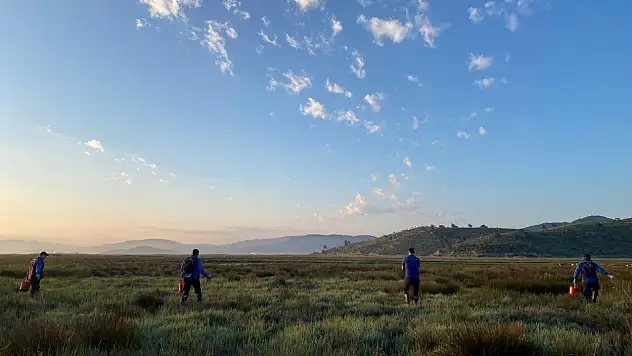 Büyükşehir'den sivrisineğe bilimsel müdahale
