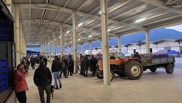 Büyükşehir Hâllerinde Türkiye'de Bir İlk