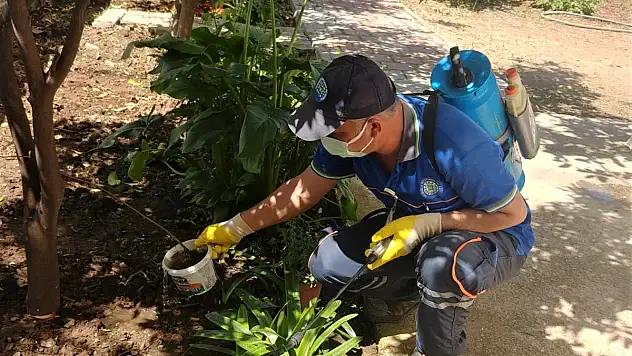 Büyükşehir Vektörle Mücadele Çalışmalarında Hız Kesmiyor