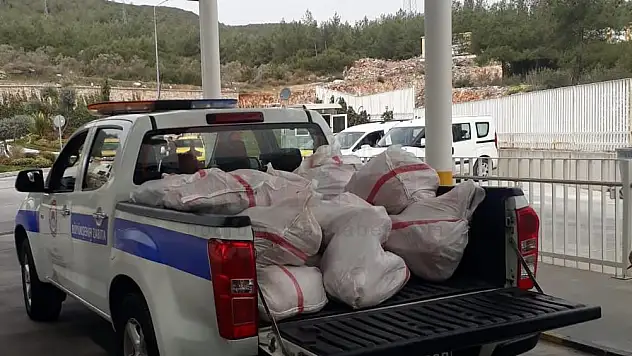 Büyükşehir Zabıtası 696 kg Sağlıksız Et Ele Geçirdi