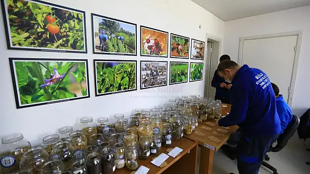 Büyükşehir'den 1 Milyon Yerel Tohum Dağıtımı