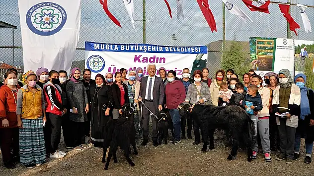 Büyükşehir'den Ula'lı Kadın Üreticilere Kıl Keçisi Desteği