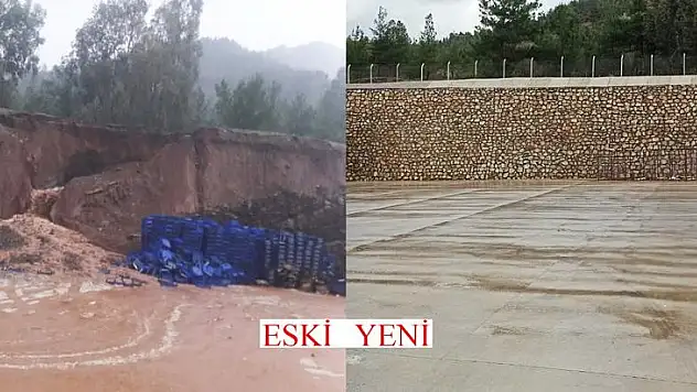 Büyükşehirle hallerin çehresi değişti