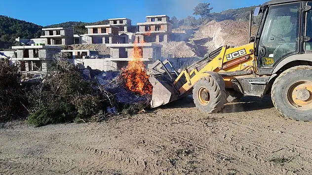 Çalıları Yakınca Çevrede Paniğe Sebep Oldular