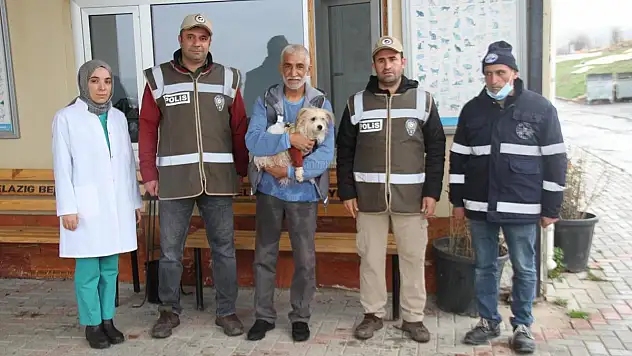 ÇALINAN KÖPEK ÇİPİ SAYESİNDE ELAZIĞ'DA BULUNDU