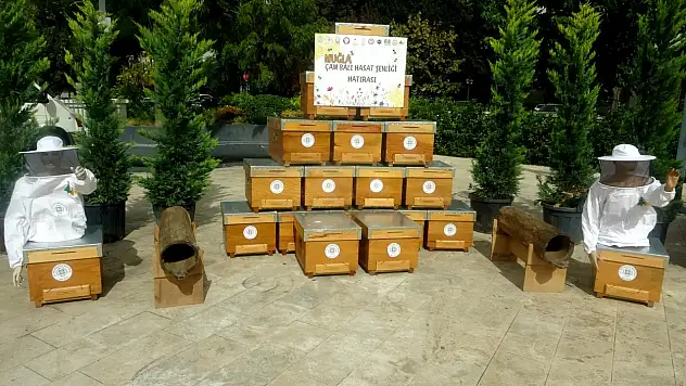 Çam Balı Hasat Şenliği düzenlendi