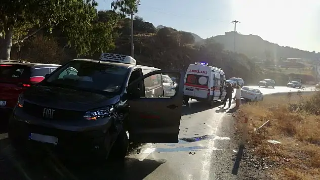 Camdan giren arı kazaya neden oldu !