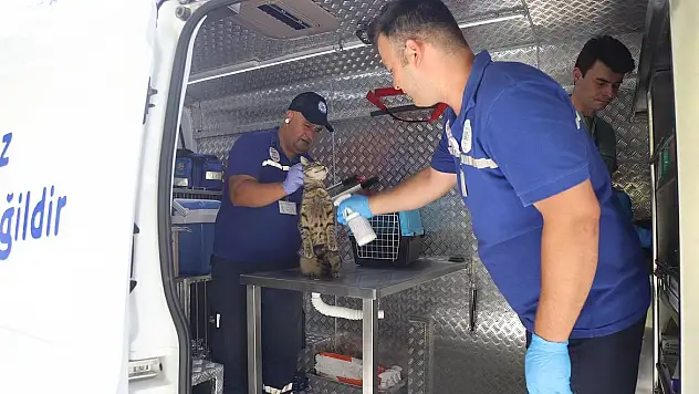 Can dostlar İçin Acil Müdahale Aracı Yollarda