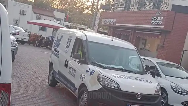 Çarptığı Köpeği Yaraladı, Durmadı Kaçtı