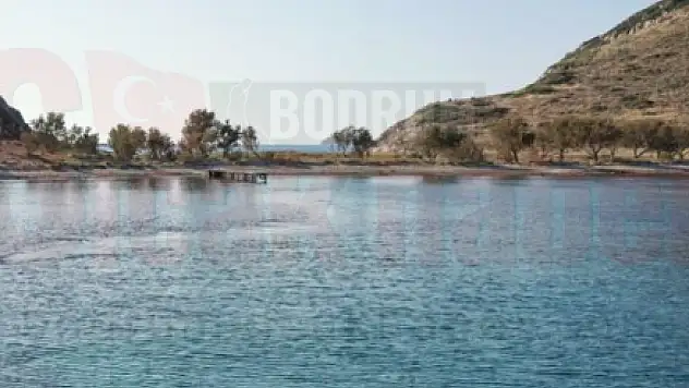 Çatal Adasında Bir Erkek Cesedi Bulundu