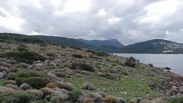 Cennet Koyu ile İlgili Cengiz İnşaat'tan Basın Açıklaması Yapıldı