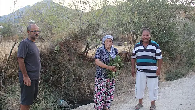 Çevre Kirliliğine Neden Olan Lağım Suları Tepki Çekiyor