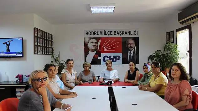 CHP Kadın Kollarından 6284 No'lu Kanuna İlişkin Eş Zamanlı Açıklama Yapıldı
