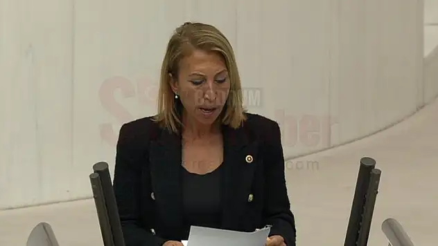 CHP Milletvekili Süreyya Öneş Derici'den Sert Çıkış