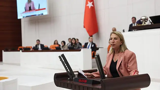 CHP'li Öneş Derici'den Göçmenler ve Sığınmacılarla İlgili Soru Önergeleri