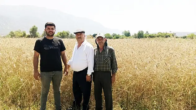 Çiftçi Buğday Fiyatlarının Açıklanmasını Bekliyor