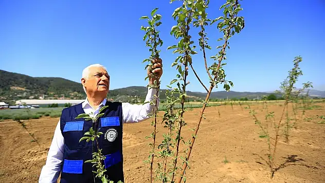 Çiftçiye çatısız eğitim merkezi