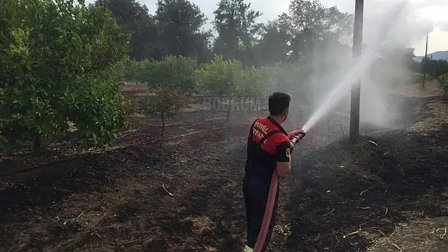 Çiftlikte Çıkan Yangın İtfaiye Ekiplerince Söndürüldü