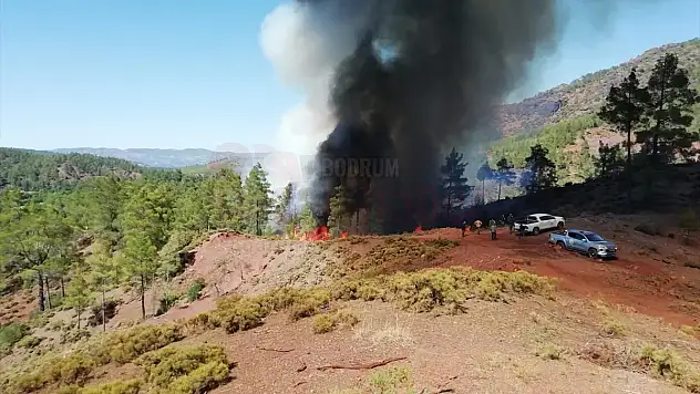 Çıkan Orman Yangınına Müdahale Ediliyor