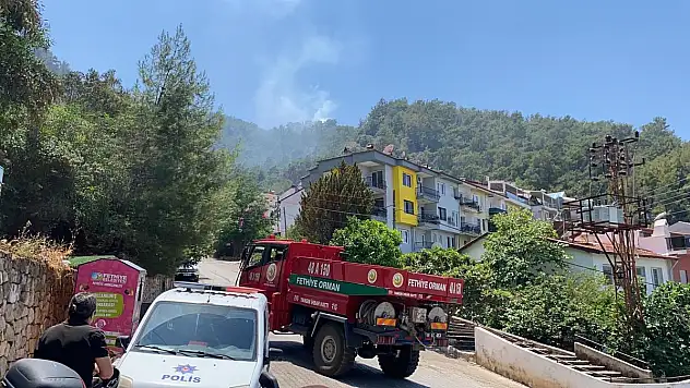 Çıkan Orman Yangınları Söndürüldü