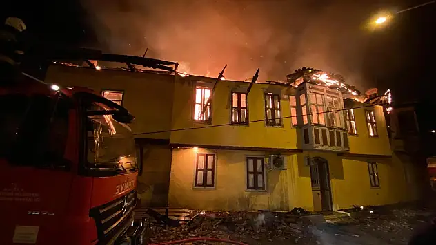 Çıkan Yangın İki Evi Küle Çevirdi, 6 Kedi Telef Oldu